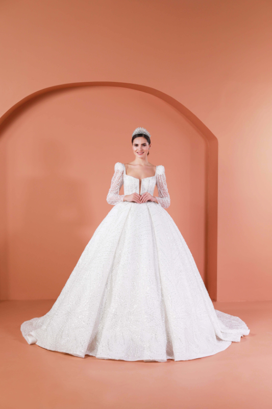 BALL GOWN TYPE Fiyatı ve özellikleri