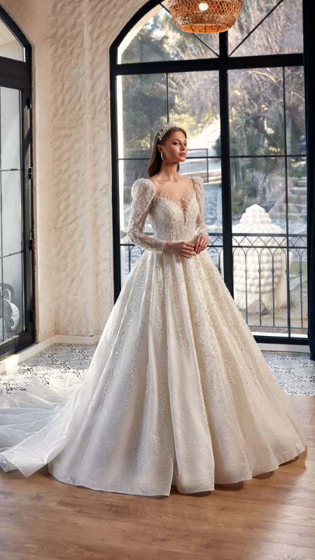 BALL GOWN TYPE Fiyatı ve özellikleri