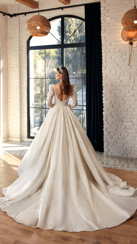 BALL GOWN TYPE Fiyatı ve özellikleri