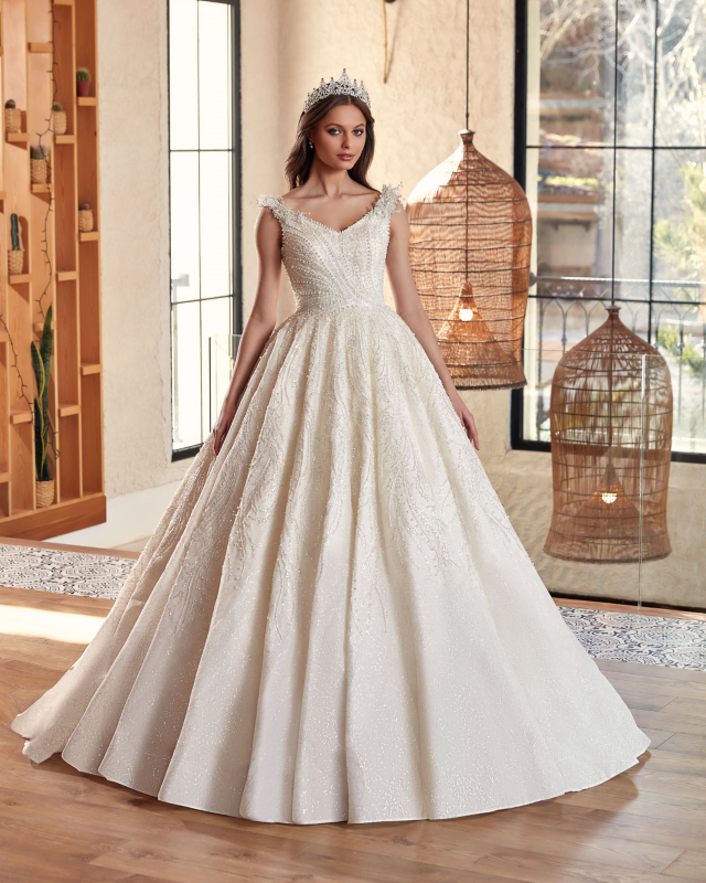 BALL GOWN TYPE Fiyatı ve özellikleri