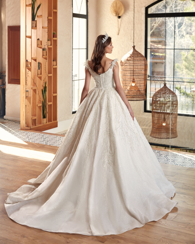 BALL GOWN TYPE Fiyatı ve özellikleri