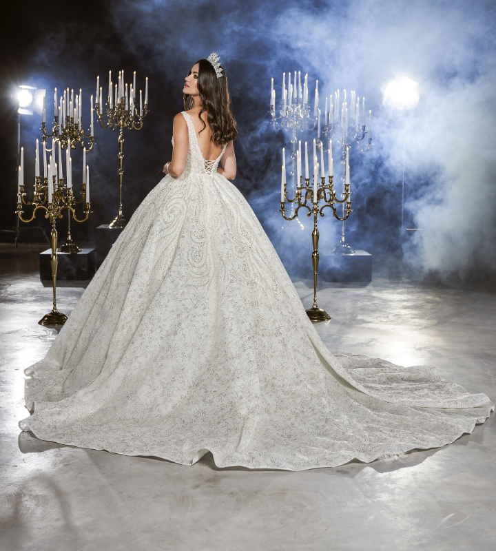 BALL GOWN TYPE Fiyatı ve özellikleri