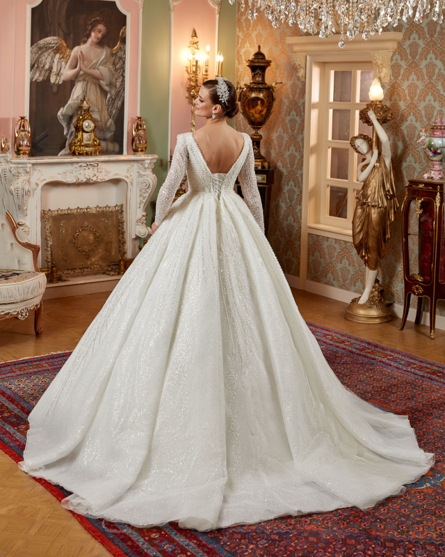 BALL GOWN TYPE Fiyatı ve özellikleri