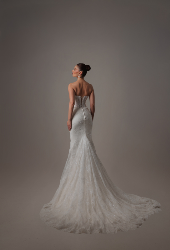 BALIK Fiyatı ve özellikleri