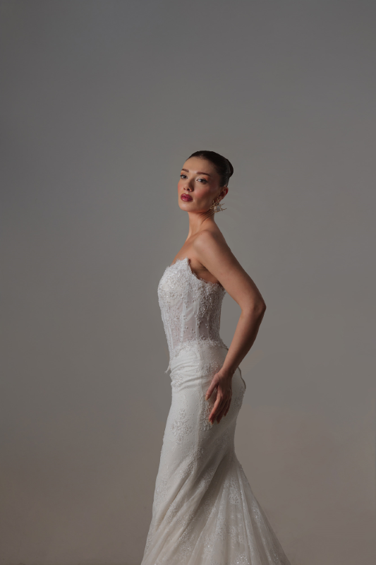 BALIK Fiyatı ve özellikleri