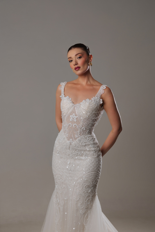 BALIK Fiyatı ve özellikleri