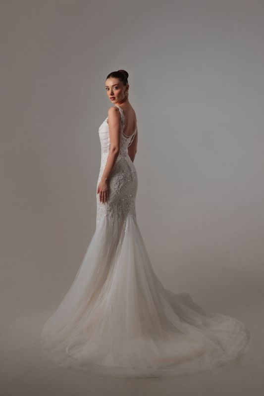 BALIK Fiyatı ve özellikleri