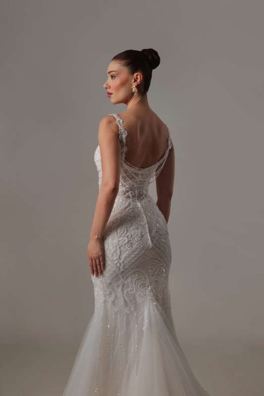 BALIK Fiyatı ve özellikleri