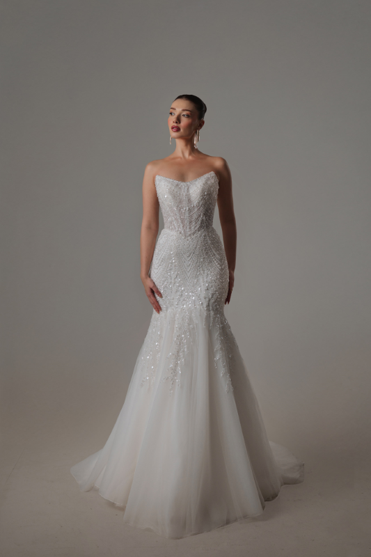 BALIK Fiyatı ve özellikleri