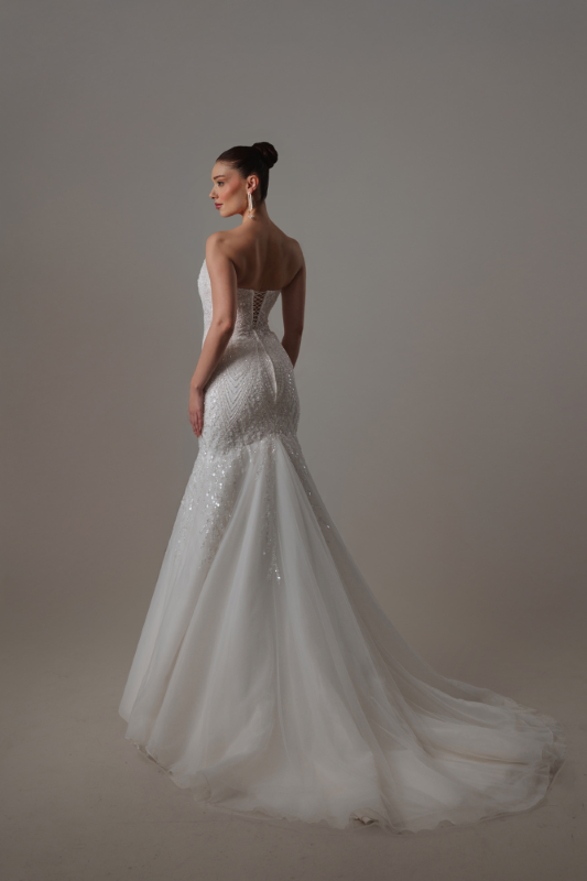 BALIK Fiyatı ve özellikleri