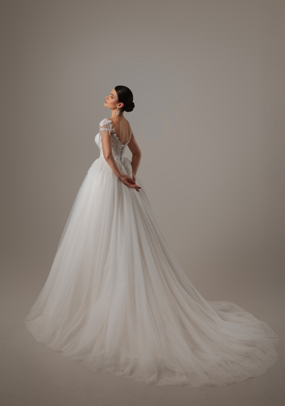 PRENSES Fiyatı ve özellikleri