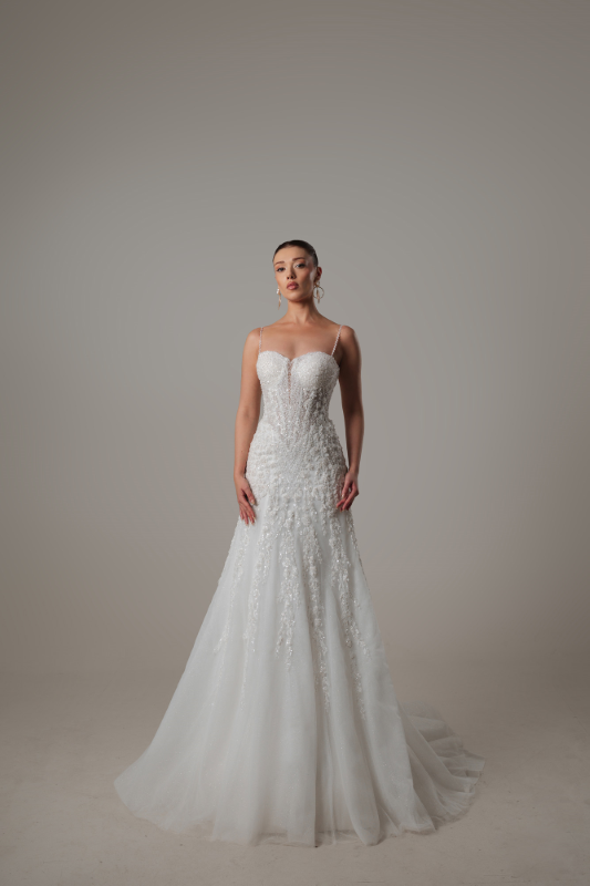 BALIK Fiyatı ve özellikleri