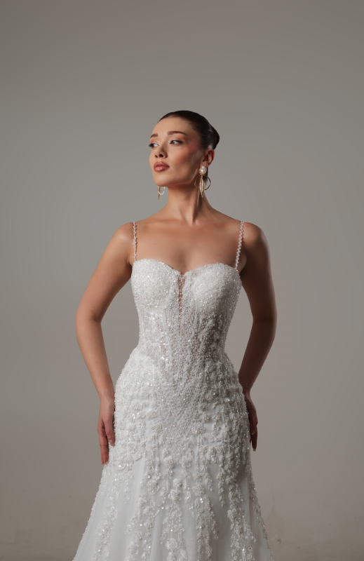 BALIK Fiyatı ve özellikleri