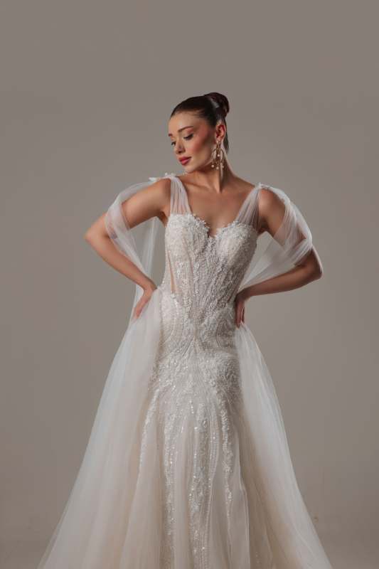 BALIK Fiyatı ve özellikleri