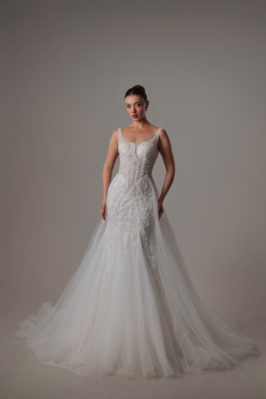 BALIK Fiyatı ve özellikleri