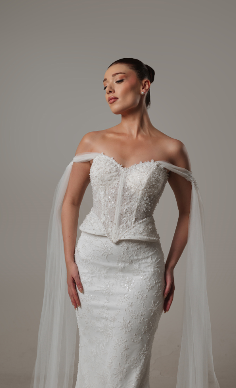 BALIK Fiyatı ve özellikleri