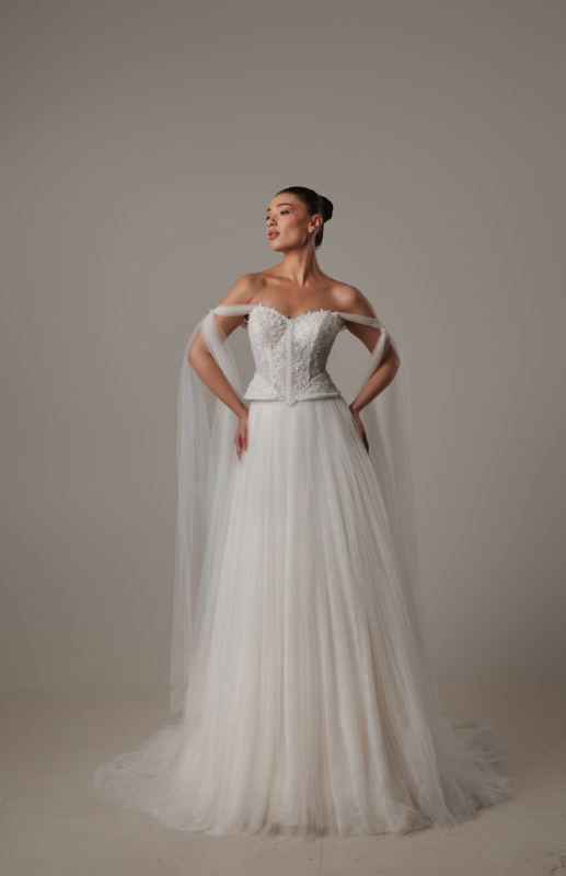 BALIK Fiyatı ve özellikleri