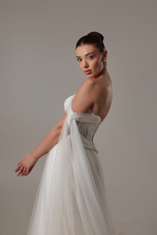 BALIK Fiyatı ve özellikleri