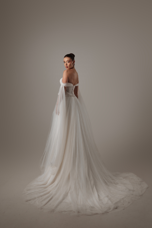 BALIK Fiyatı ve özellikleri