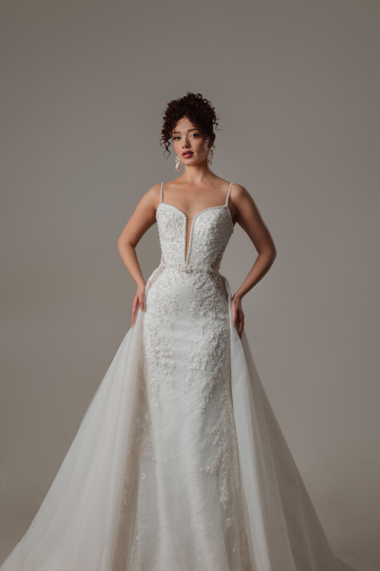 BALIK Fiyatı ve özellikleri