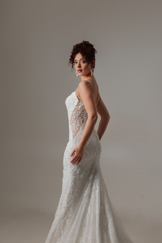 BALIK Fiyatı ve özellikleri