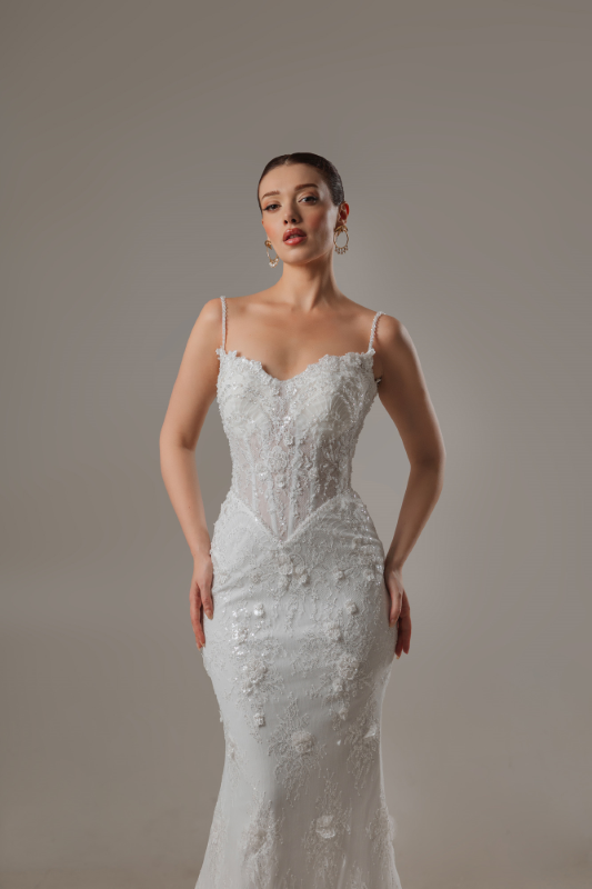 BALIK Fiyatı ve özellikleri