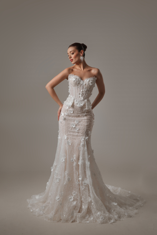 BALIK Fiyatı ve özellikleri