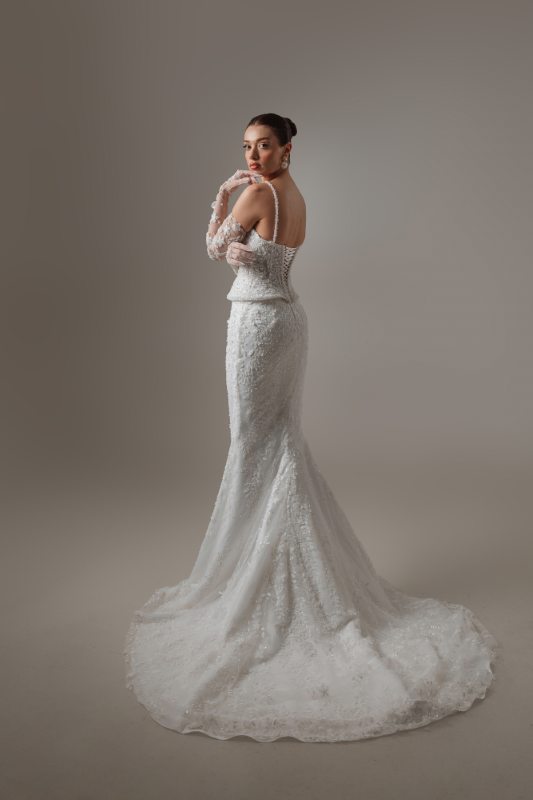 BALIK Fiyatı ve özellikleri