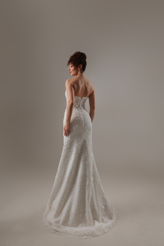 BALIK Fiyatı ve özellikleri