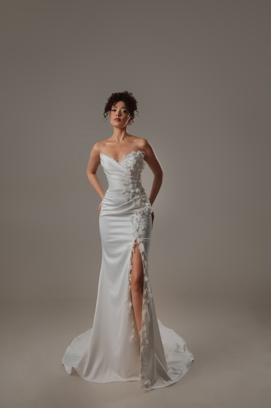 BALIK Fiyatı ve özellikleri