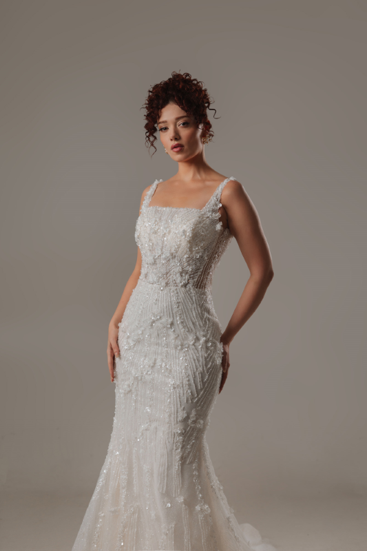 BALIK Fiyatı ve özellikleri