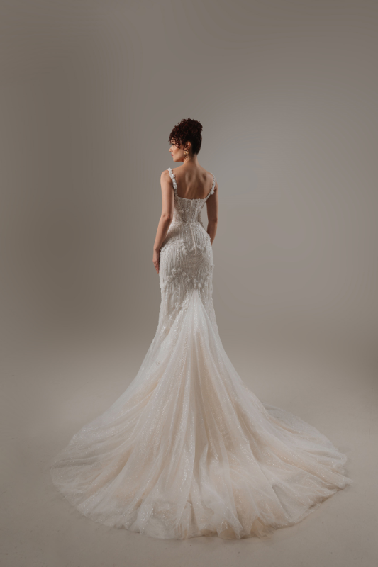 BALIK Fiyatı ve özellikleri