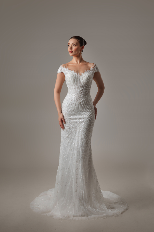 BALIK Fiyatı ve özellikleri