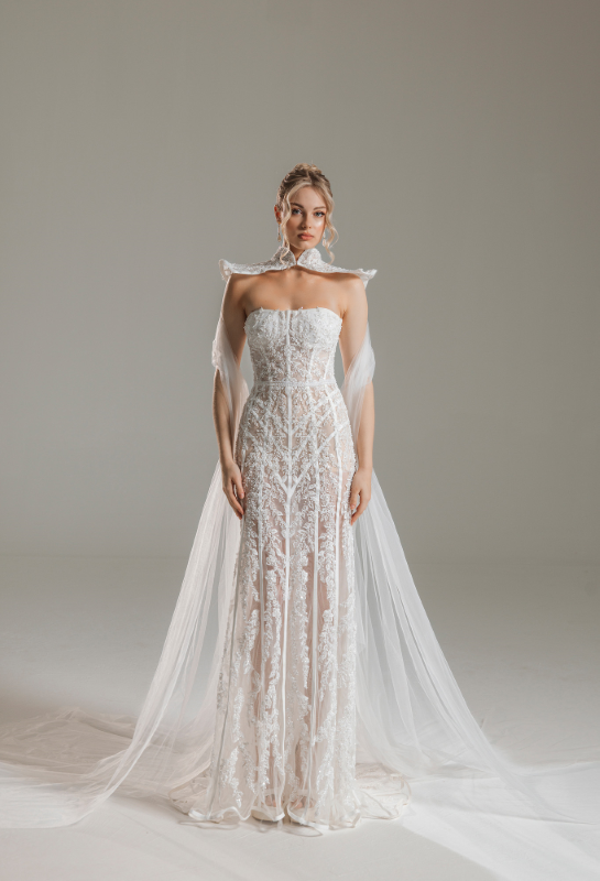 BALIK Fiyatı ve özellikleri