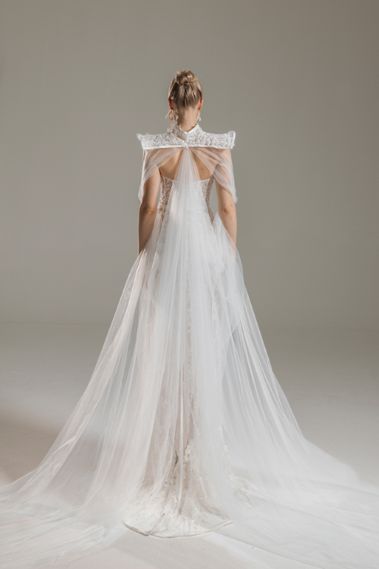 BALIK Fiyatı ve özellikleri