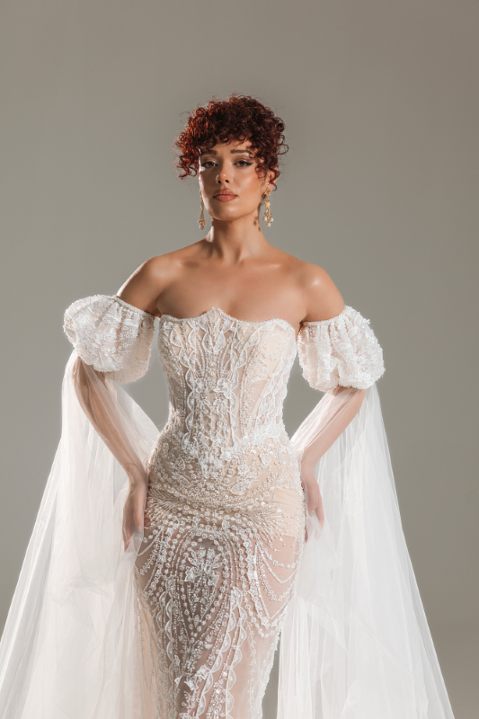 BALIK Fiyatı ve özellikleri