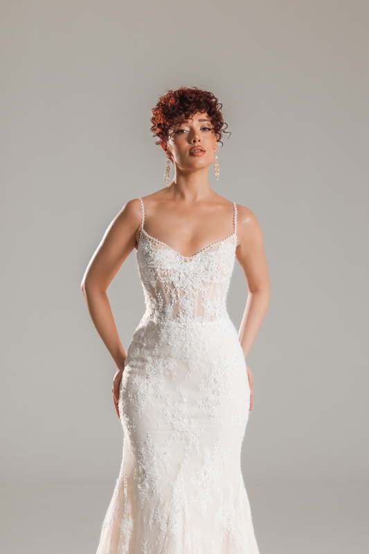 BALIK Fiyatı ve özellikleri