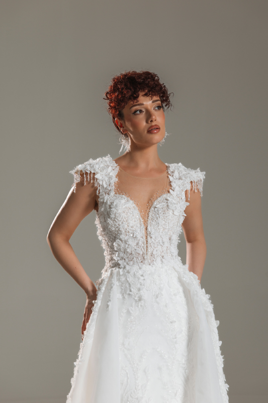 BALIK Fiyatı ve özellikleri