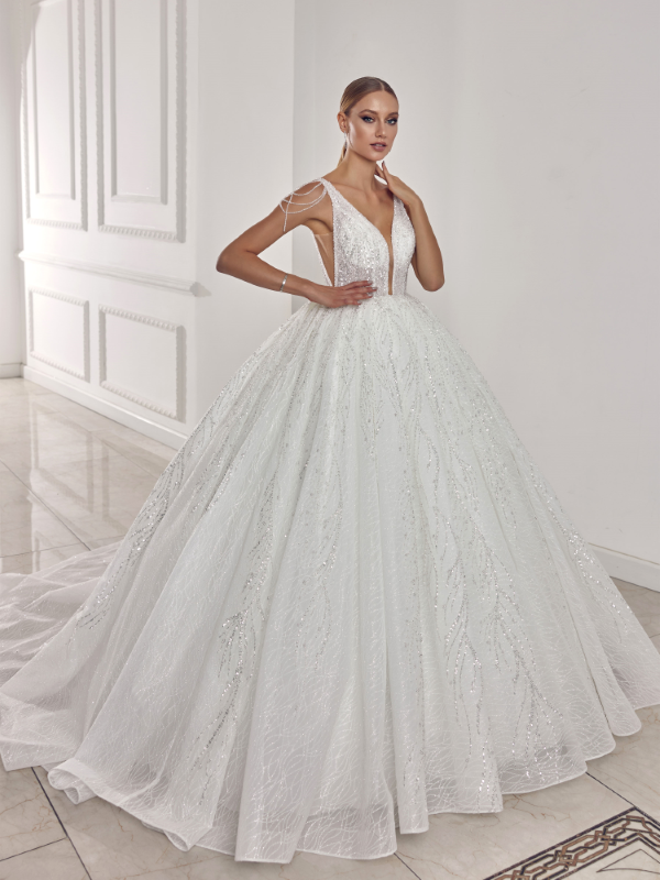 BALL GOWN TYPE Fiyatı ve özellikleri