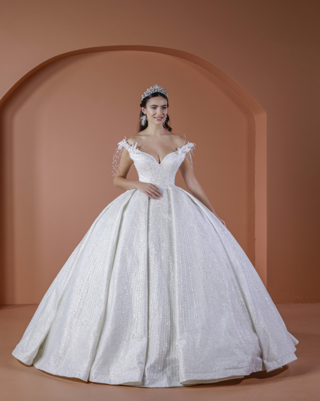 BALL GOWN TYPE Fiyatı ve özellikleri