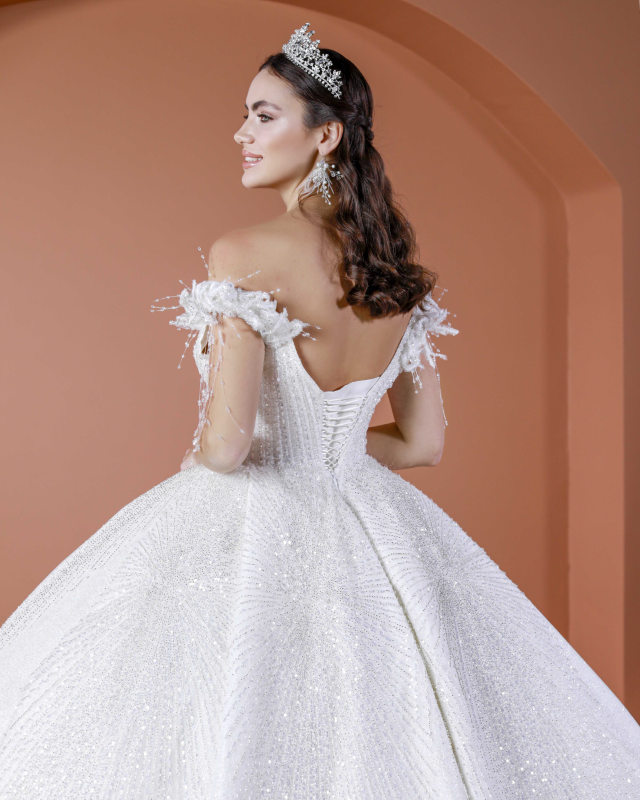 BALL GOWN TYPE Fiyatı ve özellikleri