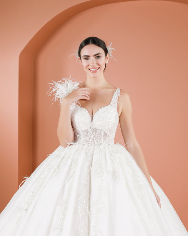 BALL GOWN TYPE Fiyatı ve özellikleri