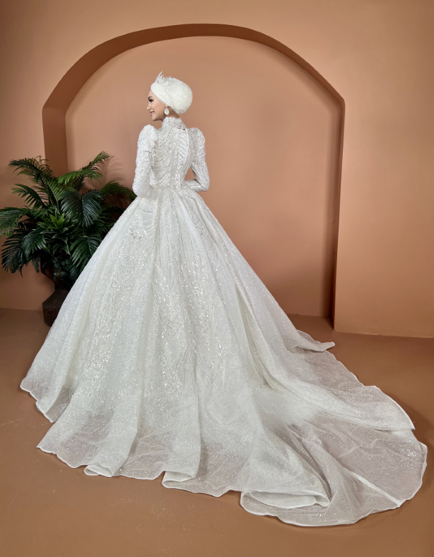 BALL GOWN TYPE Fiyatı ve özellikleri